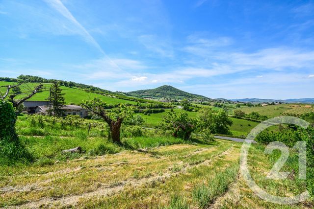 maison à vendre - 5 pièces - 149.34 m2 - SAVIGNY - 69 - RHONE-ALPES - Century 21 Coquillat Immobilier
