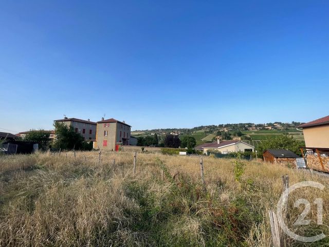 terrain à vendre - 532.0 m2 - VAL D OINGT - 69 - RHONE-ALPES - Century 21 Coquillat Immobilier